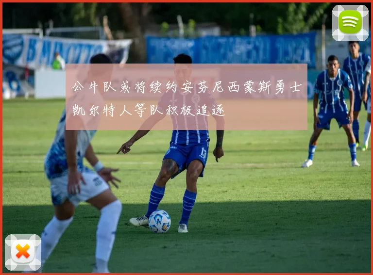 公牛队或将续约安芬尼西蒙斯勇士凯尔特人等队积极追逐