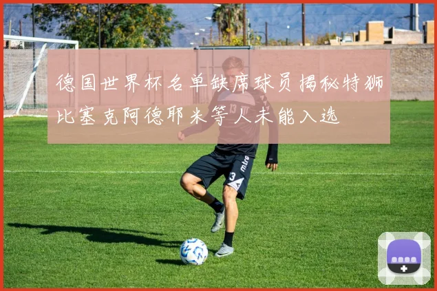 德国世界杯名单缺席球员揭秘特狮比塞克阿德耶米等人未能入选