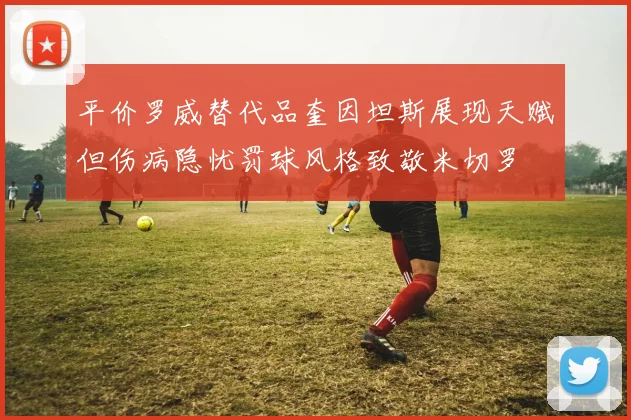 平价罗威替代品奎因坦斯展现天赋但伤病隐忧罚球风格致敬米切罗